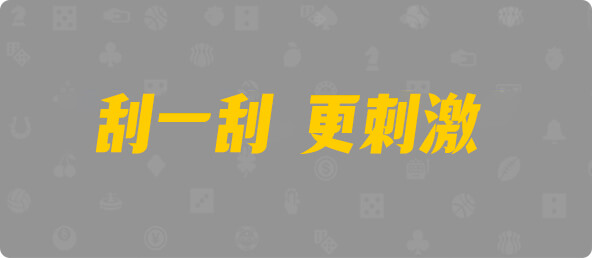 加拿大28,组合,查询,结果,数据